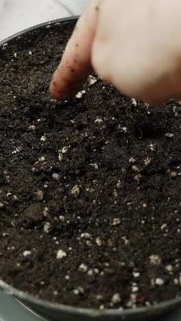 planting seeds in soil, close-up hand motion, indoor scene, gentle and calm moment