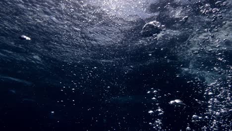 Bubbles-rise,-floating-gracefully-to-the-water's-surface-in-the-pristine-waters-of-Mauritius-Island