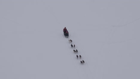 Aerial-view,-Alaskan-snow-dogs-pulling-sled-across-snow,-Slow-motion-4k
