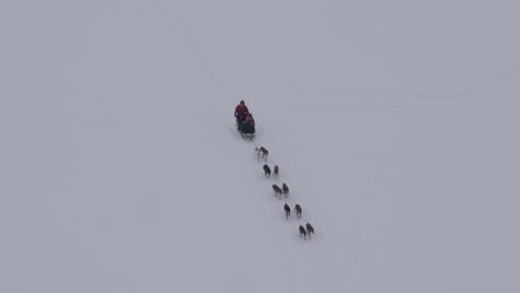 Vista-Aérea,-Perros-De-Nieve-De-Alaska-Tirando-Del-Trineo-A-Través-De-La-Nieve,-Cámara-Lenta-4k