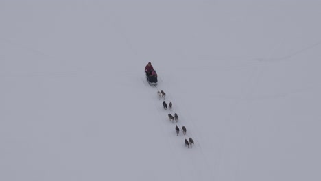 vista aérea, perros de nieve de alaska tirando del trineo a través de la nieve, cámara lenta 4k