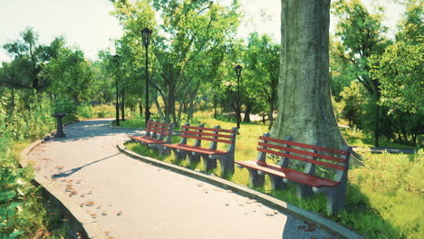 a sunny day in the park with a path, benches, and trees