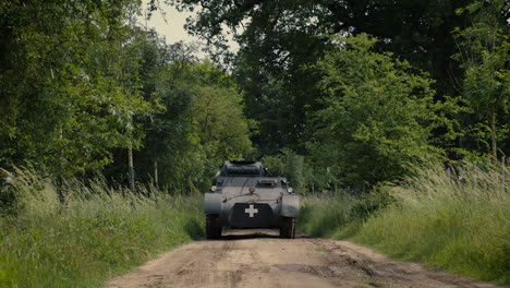wwii german tank in a forest