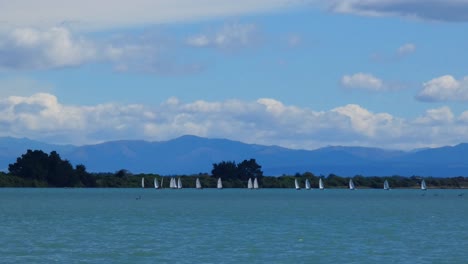 Upwind yacht racing action on a beautiful summer's day - Avon-Heathcote Estuary, Christchurch (New Zealand)