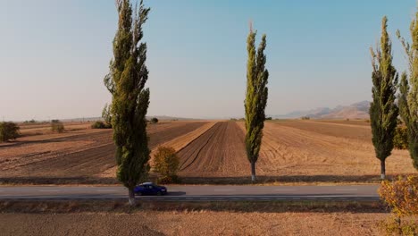 Drohnen-Tracking-Aufnahme-Eines-Blauen-Autos,-Das-An-Einem-Sonnigen-Tag-Auf-Einer-Sonnenbeschienenen,-Gepflasterten-Straße-Fährt,-Umgeben-Von-Grünen-Bäumen