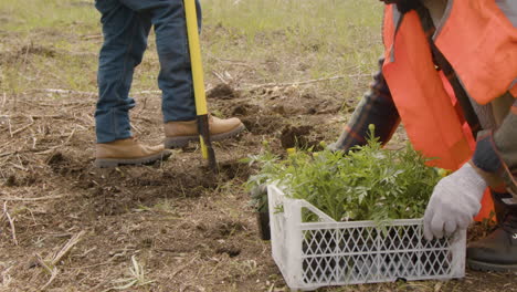 Vista-De-Cerca-De-Los-Pies-De-Un-Activista-Empujando-La-Pala-En-El-Suelo-Mientras-Un-Compañero-De-Trabajo-Planta-Un-árbol-En-El-Bosque