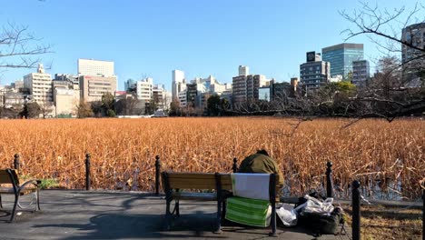 people come and go on park benches.