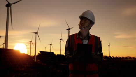 engineer inspecting renewable energy farm at sunset