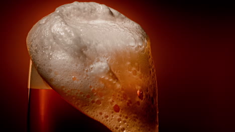 Lager-beer-settles-in-the-glass-with-a-white-cap-of-foam