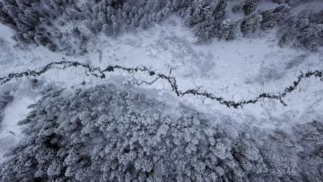 aerial top view of a frozen river in deep winter scenary in a wild place at the swiss alps