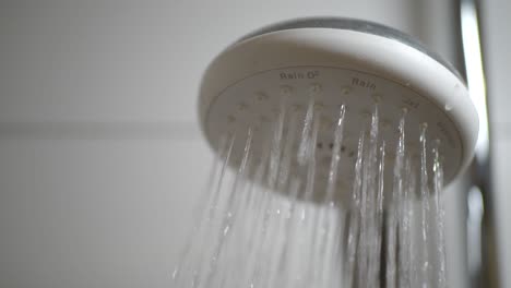 close-up of a shower head with water flowing