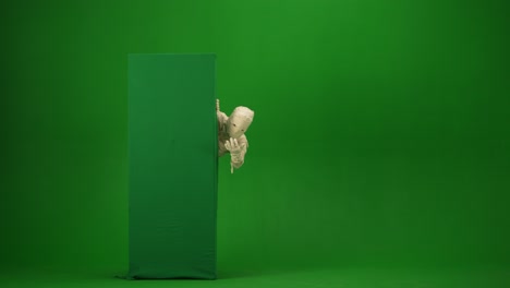 green screen isolated chroma key video capturing a mummy dancing and singing actively into the