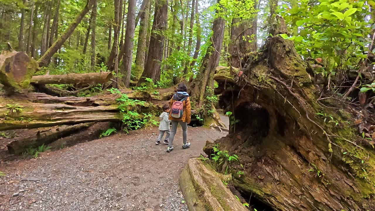 Family Hiking in a Lush Forest
