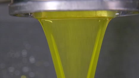 imágenes de aceitunas transformadas en aceite en la instalación de producción