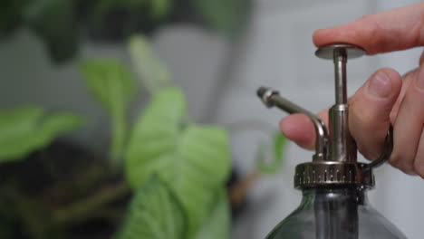 close up shot of female hands pressing spray bottle trigger to mist indoor plant foliage with fine water droplets for hydration and gentle botanical care routine in calm home environment