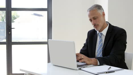 seated businessman typing on his laptop