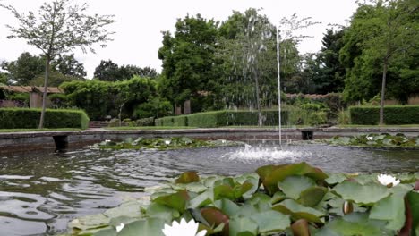 Ruhiger-Gartenteich-Mit-Springbrunnen-Und-Blühenden-Seerosen,-Ruhige-Naturszene