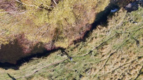 Angler-walking-in-slow-motion-along-a-path-by-the-river-to-go-fishing