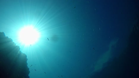 Toma-De-Sol-Desde-El-Fondo-De-Un-Lago-Con-Agua-Azul-Clara-Y-Transparente