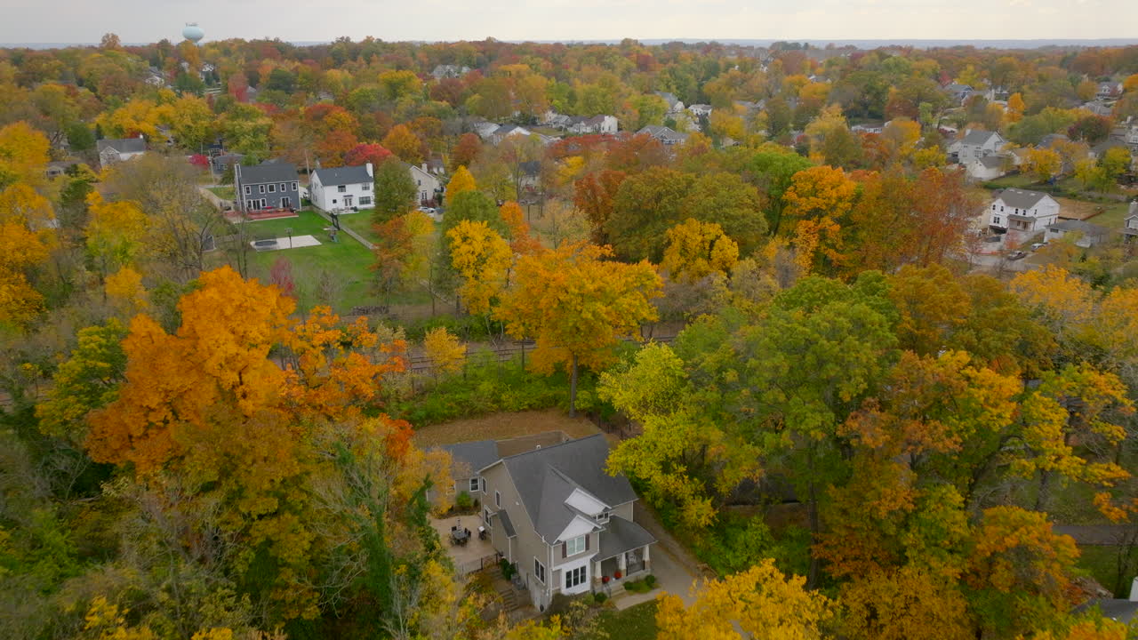 воздушная съемка красивых деревьев в пик осенней расцветки в хорошем районе кирквуд в ст.