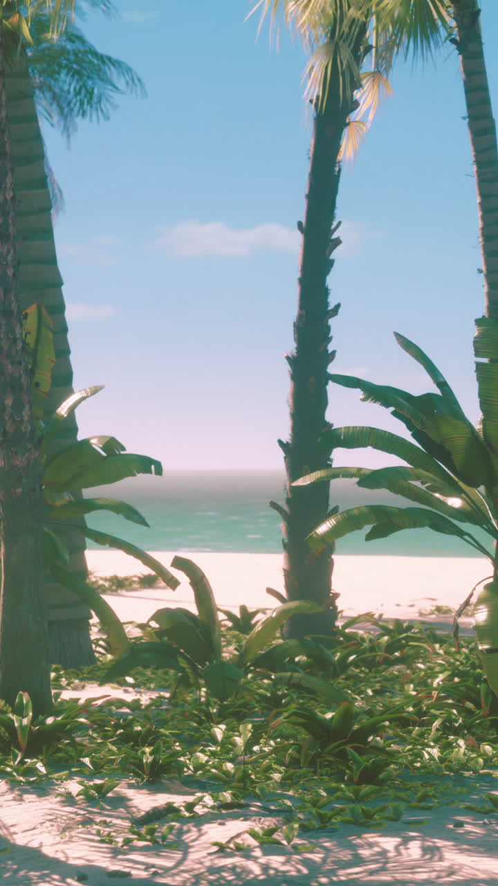 Tropical Beach Paradise