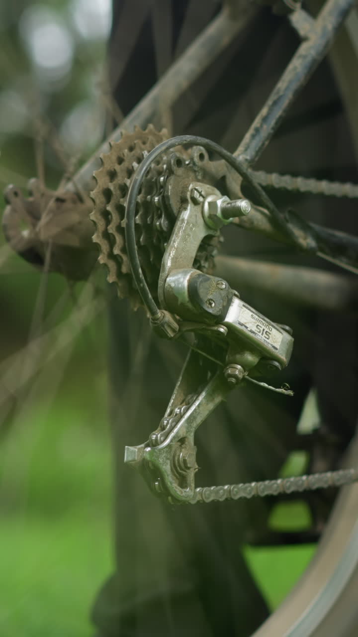 잔디에 주차된 자전거 에 서있는 개인의 클로즈업, 사람은 뒷 타이어를 약간 들어 올리고, 잠시 페달을 고, 타이어를 흐릿한 배경으로 회전시니다.