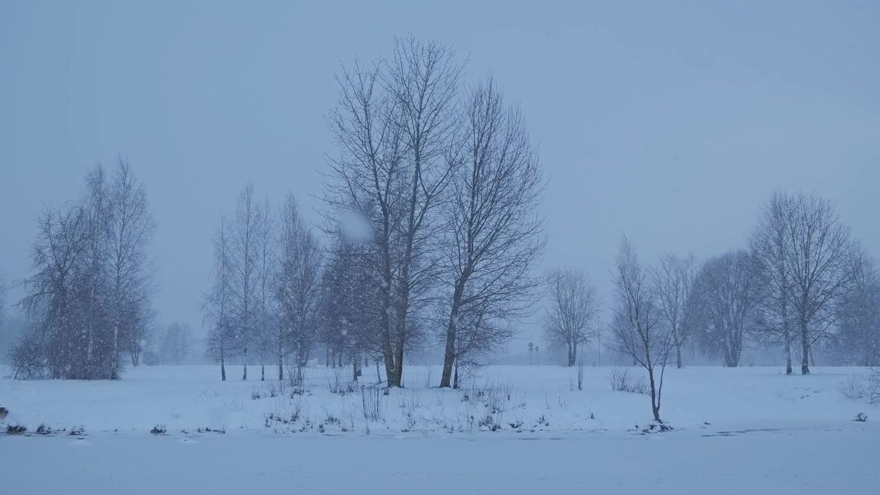 Drømmende snefald dækker åbent landskab i Lucavsala i Riga, fredfyldt stilhed.