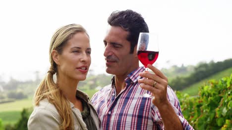 Couple-holding-a-glass-of-red-wine-in-field