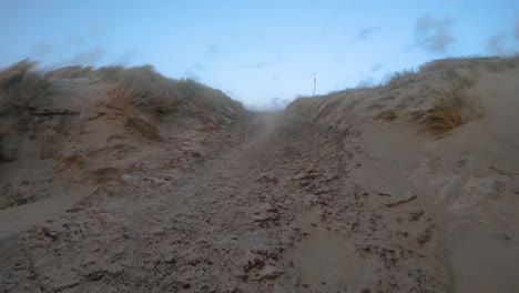 windy day at the beach