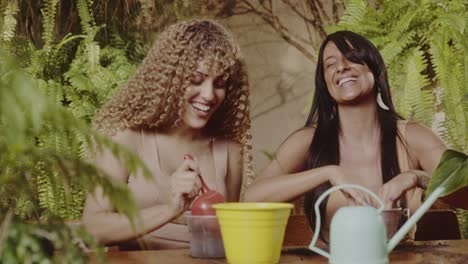 two women enjoying gardening together