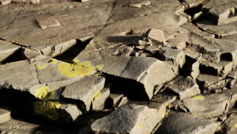 cerca de la formación de piedras rocosas