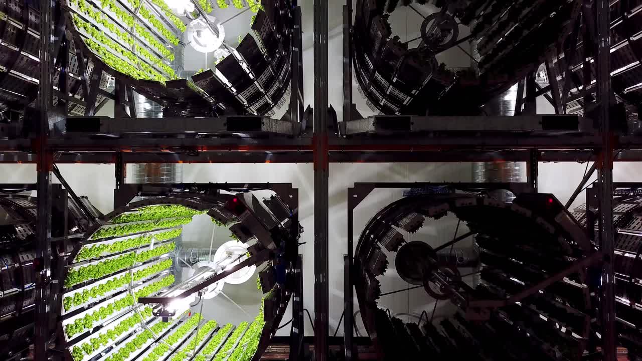 The future of plant cultivation in vertical farms