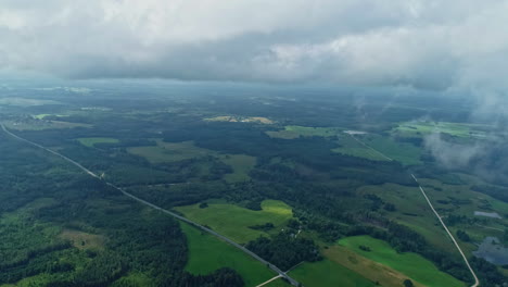 horizonte nublado verde húmedo sobre campos rurales volando perspectiva de avión de drone, campo prado entre árboles bosque, fondo del horizonte a la luz del día