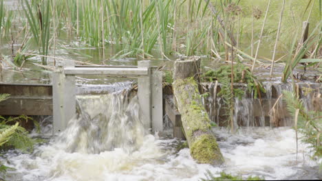 wooden structure obstructing river flow to create a pond, flood control