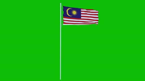 bandera de malasia ondeando en el viento en pantalla verde o fondo de tecla de croma. animación 4k
