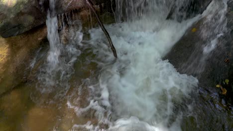 Crystalline-stream-running-in-daylight-at-Bistriski-Vintgar-Slovenia