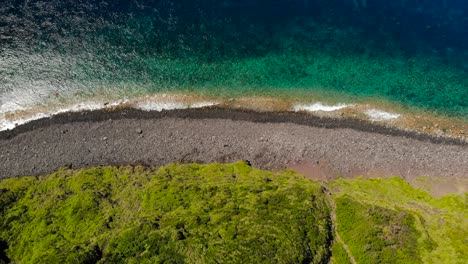 right moving top down aerial drone view of rocky beach, green forest and turquoise ocean