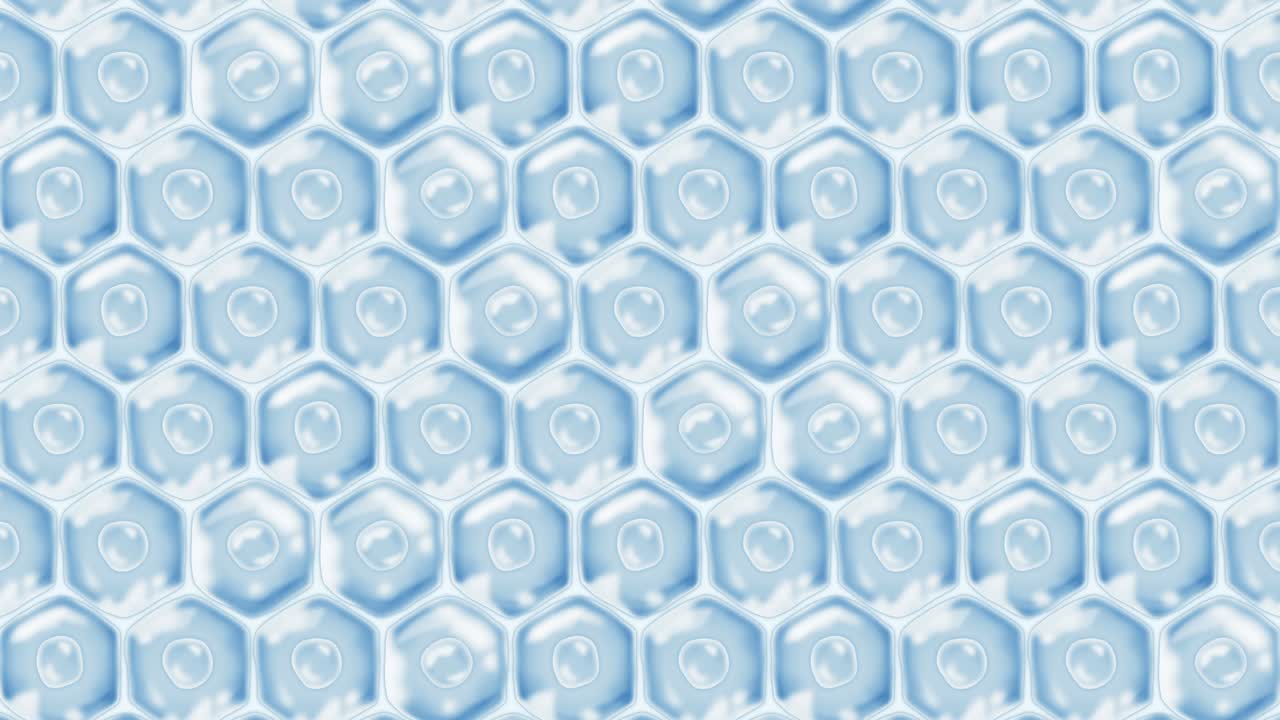 인간 피부 세포: 세포막을 가진 각 세포, 세포 치료, 질병 치료, 핵과 진공, 재생, 루프 애니메이션