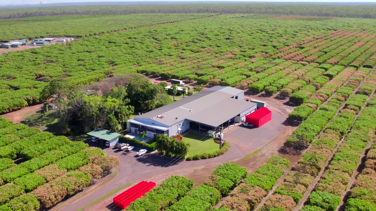 시골 아웃백 호주의 망고 농장에 있는 대형 농가와 포장 창고