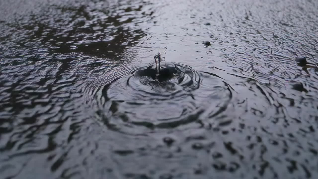 Water Droplet on a Wet Surface