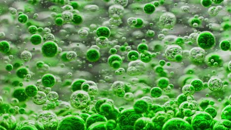 many small green bubbles floating in water, slowly sinking