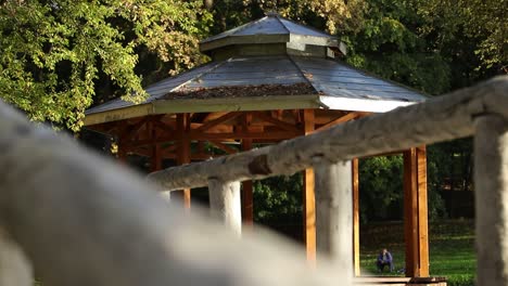 the focus changes from the old white wooden bridge to the wooden canopies in the park in autumn