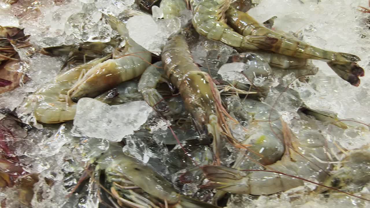 신선한 새우 얼음