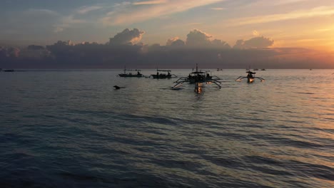 aerial of beautiful fishing boats on horizon as sun rises and dolphins jump out of blue ocean in lovina bali indonesia