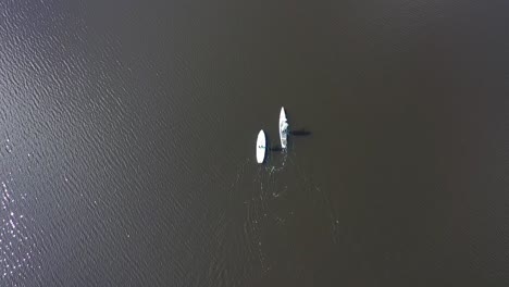 aerial view of two people paddleboarding