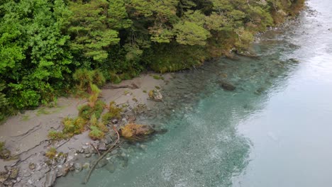 Sandy-river-bank-gives-way-to-lush-damp-green-New-Zealand-rainforest