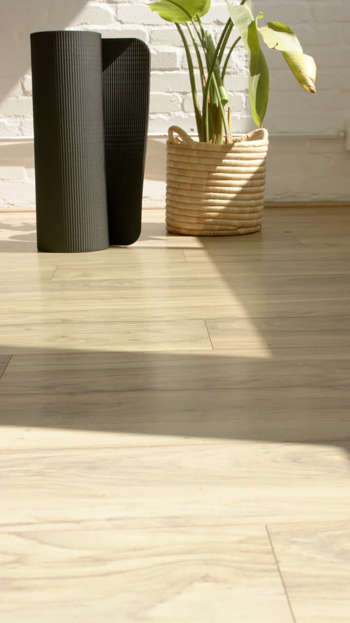 Vertical video: Yoga mat rolled up next to potted plant in bright studio, copy space