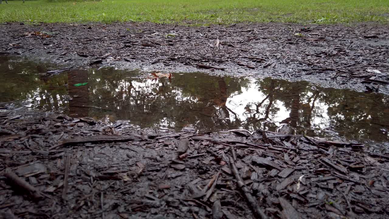 웅덩이에서 튀는 빗방울 4k 클로즈업