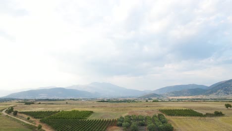 Sideways-moving-4K-clip-over-the-countryside-and-vineyards-in-close-to-the-village-Choristi,-in-Drama,-Greece