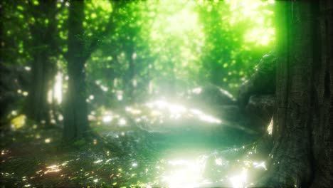 scenic forest of fresh green deciduous trees framed by leaves